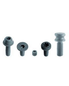 CMT 990.008.00 STIC Screw, M5x8mm 