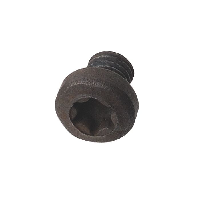 CMT 990.063.00 TSPEI Torx Screw, M5x12x18mm