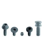 CMT 990.055.00 TSPEI Screw, M5x9x12mm 